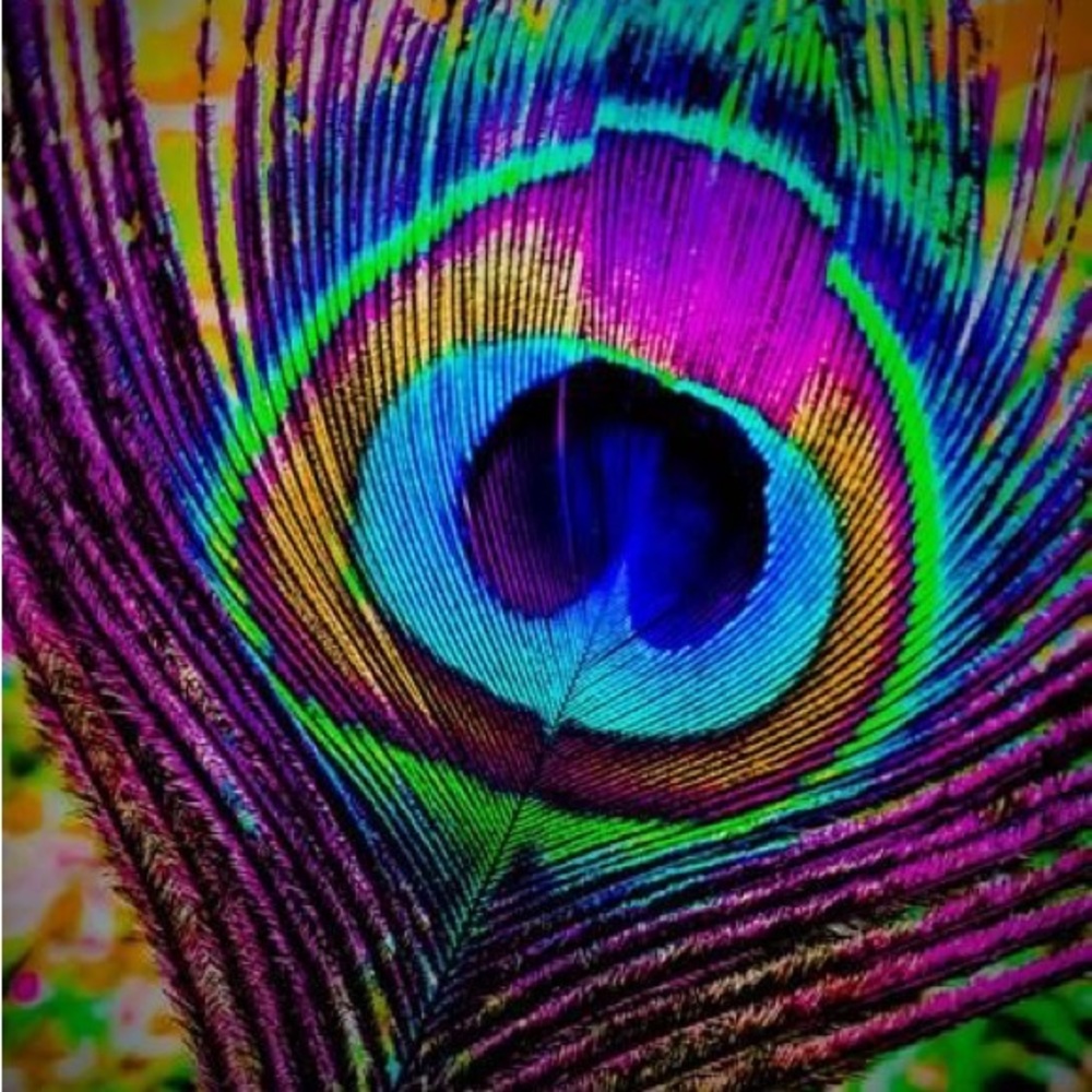 Meet your Posher, Aimee